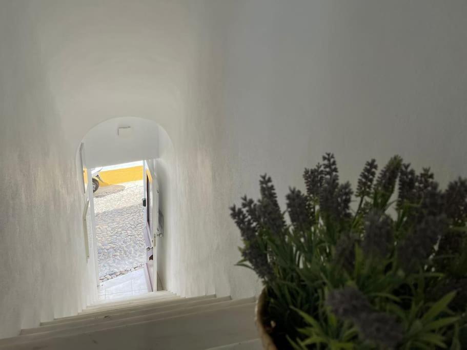 Casa Da Oliveira Apartman Évora Kültér fotó